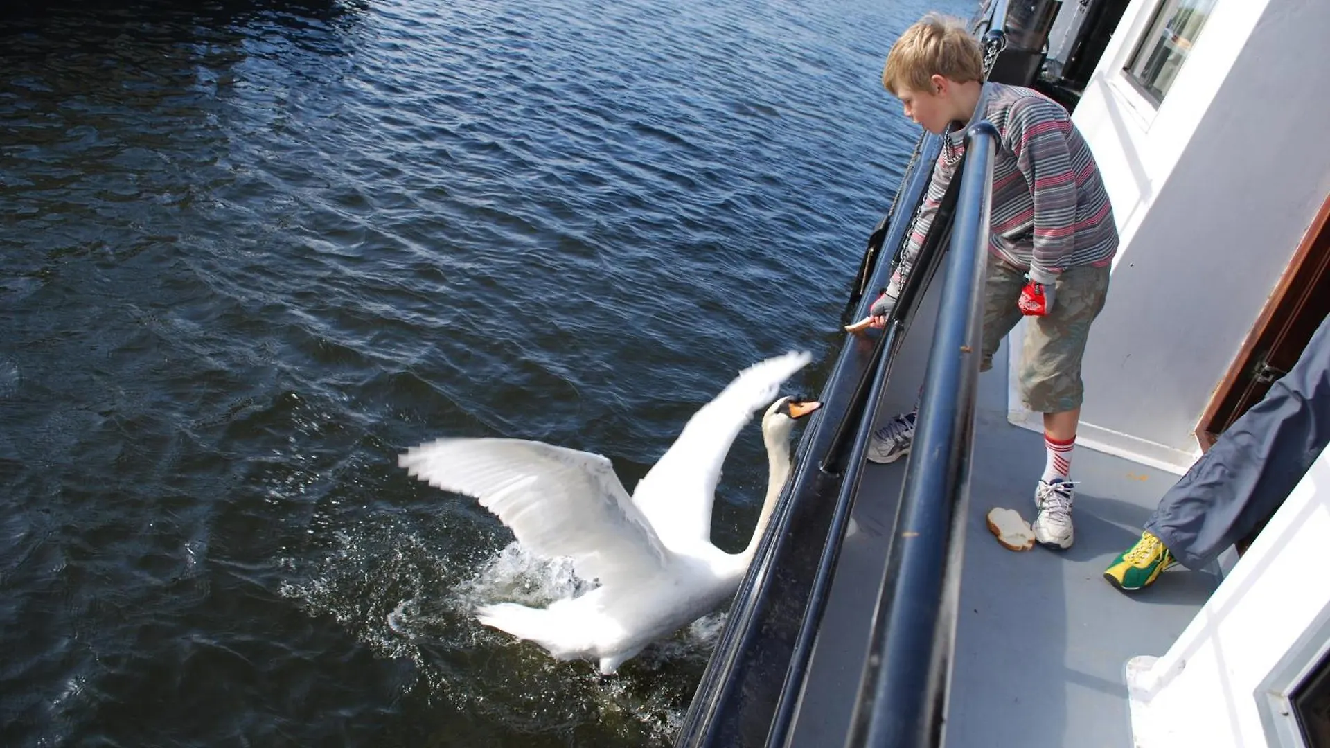 Hotel Hotelboot Zwaan Amsterdam Netherlands